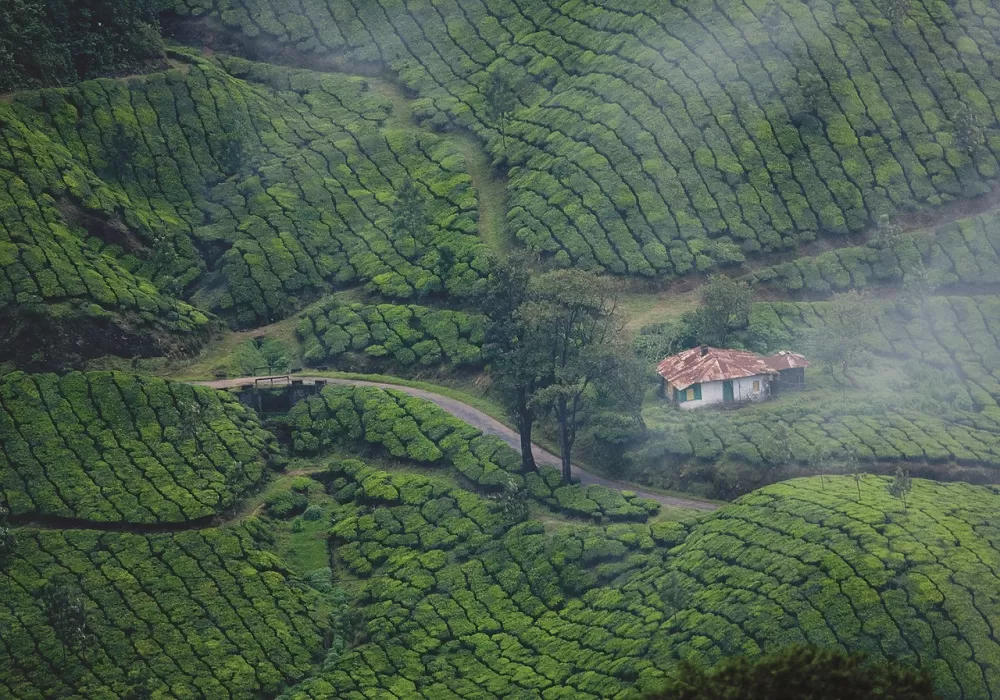 Kerala God's Own Country
