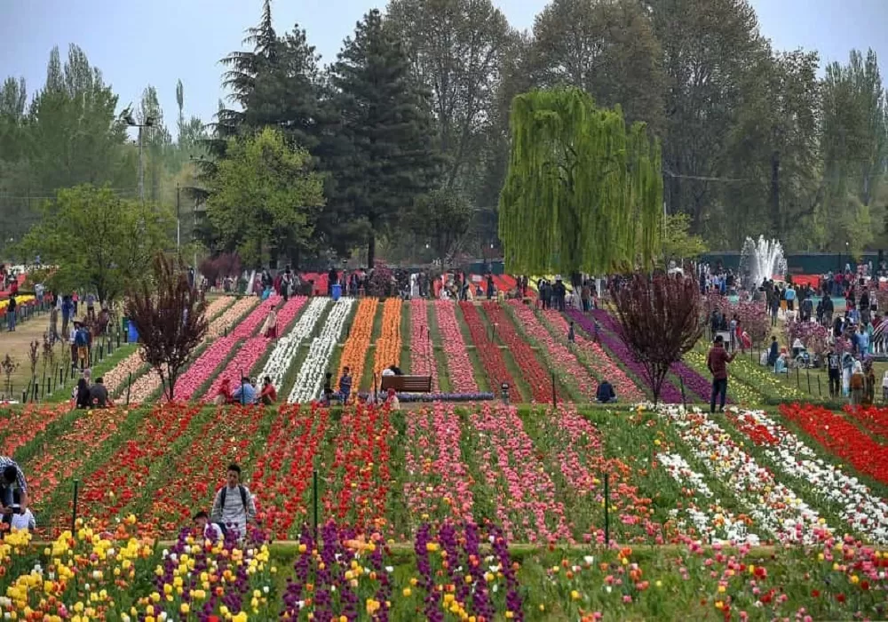 Breathtaking Kashmir