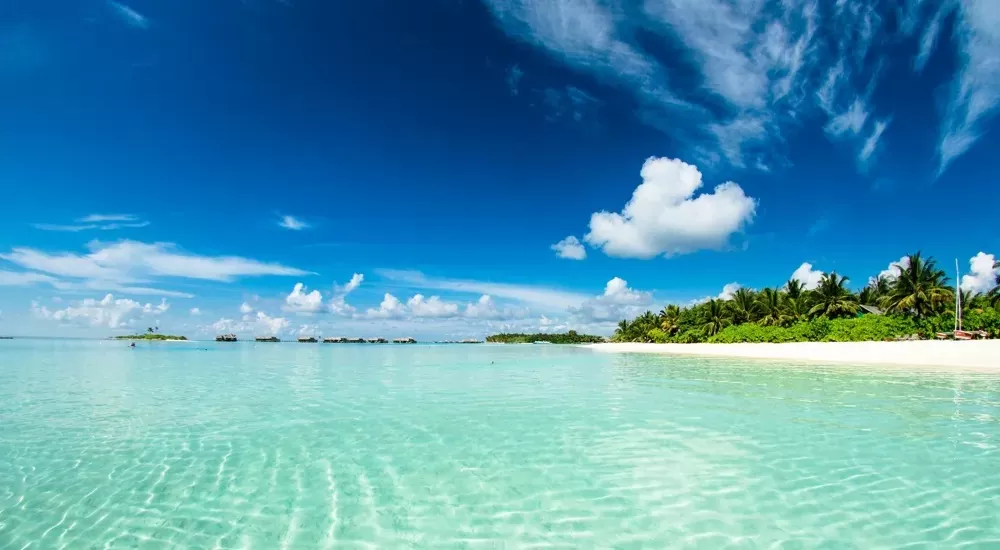 Honeymoon Package